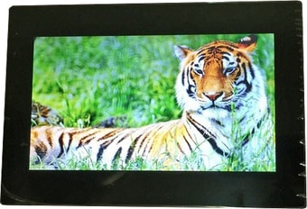 Цифровая фоторамка Espada E-10W