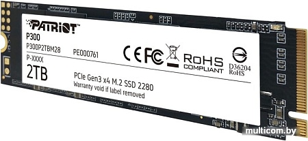 SSD Patriot P300 2TB P300P2TBM28
