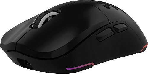 Игровая мышь Oklick 900GMW (черный)