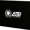 SSD AGI AI138 256GB AGI256G06AI138
