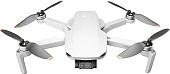 Квадрокоптер DJI Mini 2 Fly More Combo