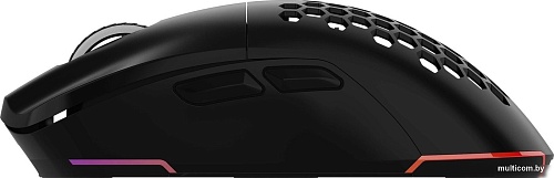 Игровая мышь Oklick 900GMW (черный)