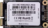SSD AMD Radeon R5 256GB R5MS256G5