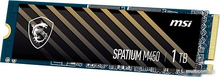 SSD MSI Spatium M450 V1 1TB S78-440L0M0-P83