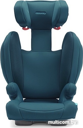 Детское автокресло RECARO Monza Nova 2 SeatFix (select garnet red)