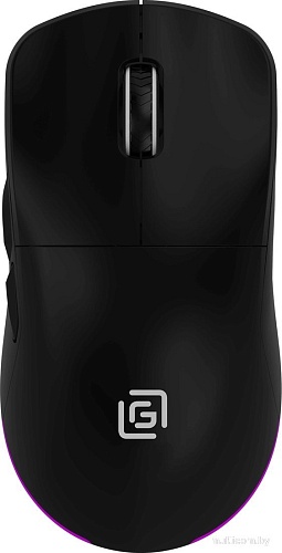 Игровая мышь Oklick 900GMW (черный)