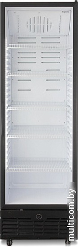 Торговый холодильник Бирюса B521RN