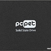 SSD PC Pet 4TB PCPS002T2