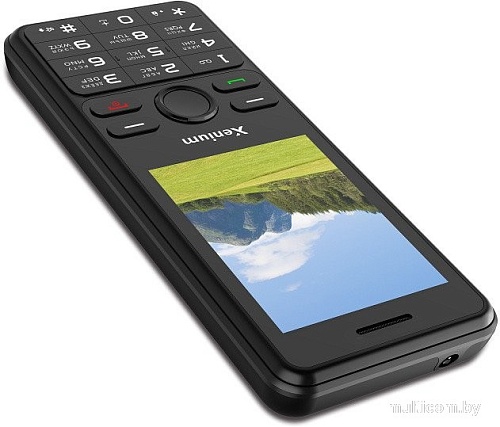 Телефон Xenium X280 (черный)