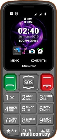 Мобильный телефон Digma Linx S240 (серый)