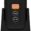 Мобильный телефон Maxvi E5 (черный)