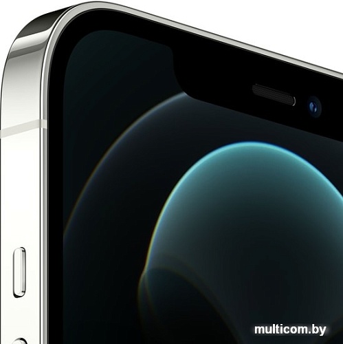 Смартфон Apple iPhone 12 Pro Max 512GB (серебристый)
