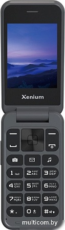 Телефон Xenium Xenium X680 (темно-серый)