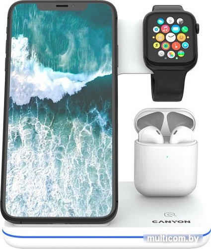 Беспроводное зарядное Canyon CNS-WCS302W
