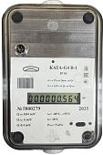 Счетчик газа БелОМО КАТА-G4 В-1