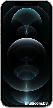 Смартфон Apple iPhone 12 Pro Max 512GB (серебристый)