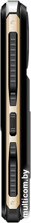 Мобильный телефон Digma Linx R240 (черный)