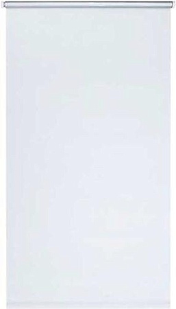 Мини рулонные шторы Domoletti Мини Blackout Silver 51 73x190 (белый)