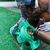 Воздуходувка Ryobi RBV3000CSV-RAC365