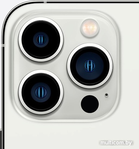 Смартфон Apple iPhone 13 Pro 128GB (серебристый)