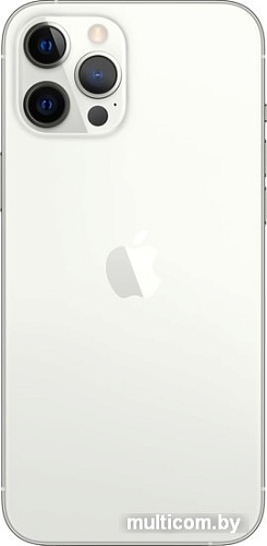 Смартфон Apple iPhone 12 Pro Max 512GB (серебристый)