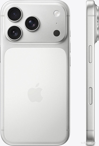 Телефон Apple iPhone 17 Pro 1TB (серебристый)