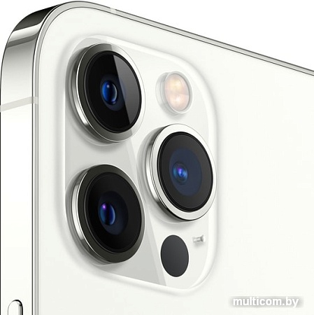 Смартфон Apple iPhone 12 Pro Max 512GB (серебристый)