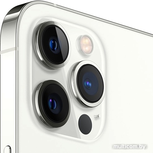 Смартфон Apple iPhone 12 Pro Max 512GB (серебристый)
