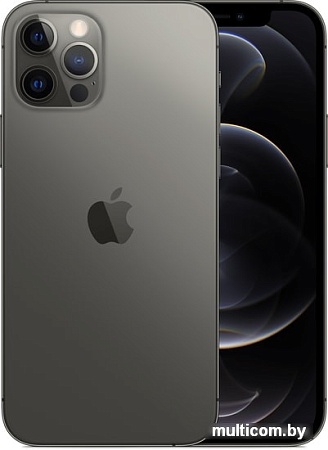 Смартфон Apple iPhone 12 Pro 512GB (графитовый)