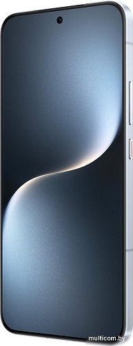Телефон HONOR Magic7 12GB/256GB международная версия (лунный серый) + умные часы HONOR Watch 4 (черный) по акции