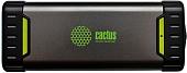 Портативное зарядное устройство CACTUS CS-PBHTBP-20800 (графит)
