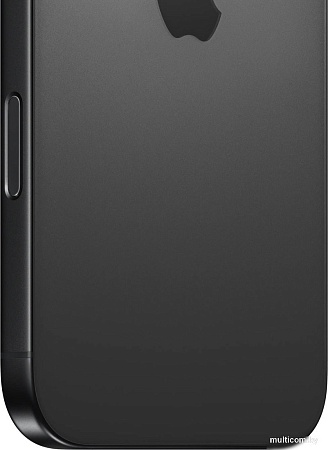 Смартфон Apple iPhone 16 Pro Max Dual SIM 256GB (черный титан)
